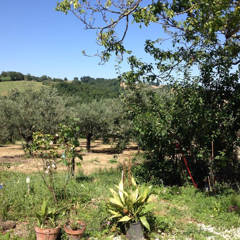 Masseria Spadone Villa Civitella Casanova Luaran gambar