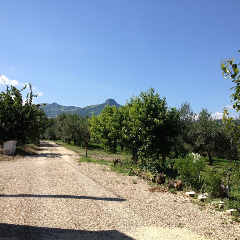Masseria Spadone Villa Civitella Casanova Luaran gambar
